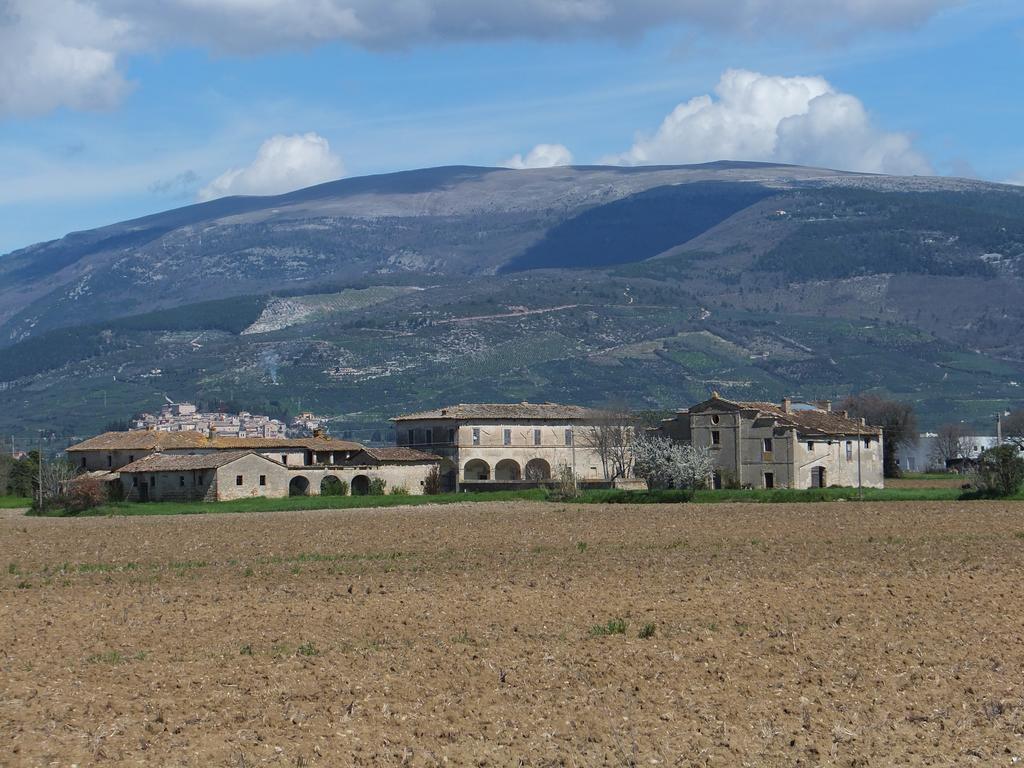 フォリーニョ Cascina Antoniniゲストハウス エクステリア 写真